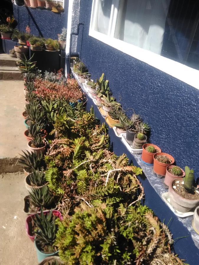 Havilah House Baguio City Esterno foto